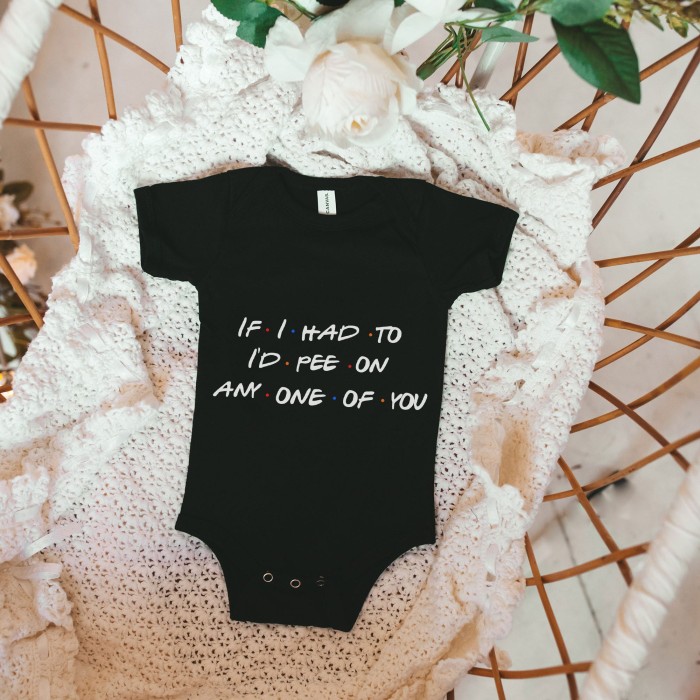If I Had To I'd Pee On Any One Of You Onesie, Friends Inspired, Friends Onesie, Cute Baby Onesie, Baby Shower Gift, Unisex Onesie