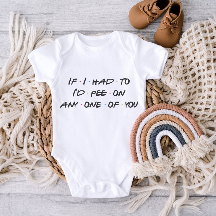 If I Had To I'd Pee On Any One Of You Onesie, Friends Inspired, Friends Onesie, Cute Baby Onesie, Baby Shower Gift, Unisex Onesie