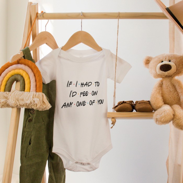 If I Had To I'd Pee On Any One Of You Onesie, Friends Inspired, Friends Onesie, Cute Baby Onesie, Baby Shower Gift, Unisex Onesie