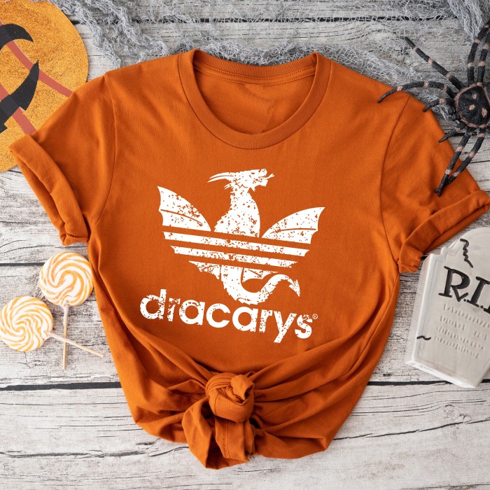 Dracarys T-shirt, Women of Dragon, Throne Games, Dragon Vintage Shirt, Dragon Games